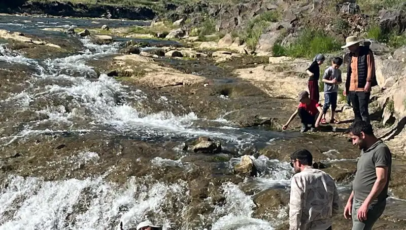 İnci Kefali Göçü: Doğa Harikası Turistleri Cezbetti!