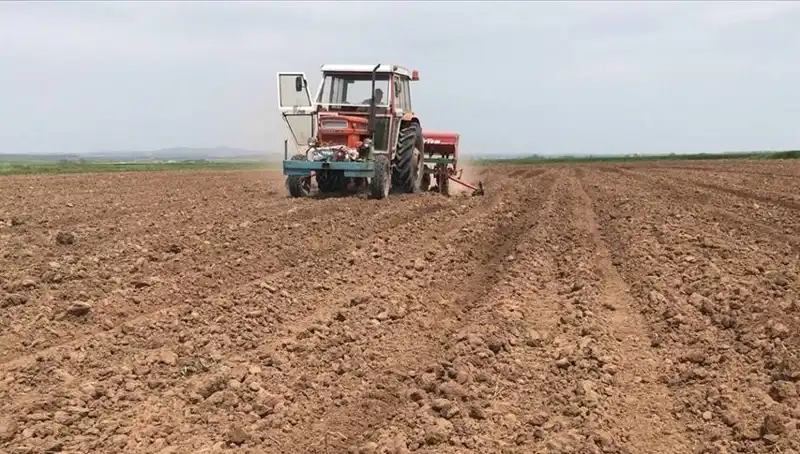 Son 35 Yılda Mart Ayı Rekor Kuraklığı: Yağışlar Yüzde 59 Azaldı