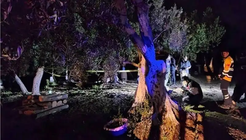 Çiftlikte Gerçekleşen Baltalı Vahşette Şok Tutuklama: Olayın Ardındaki Gerçekler