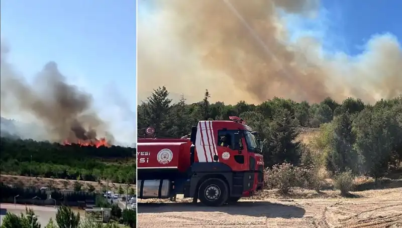 Gebze'de Orman Yangını: Doğa Düşmanları Yeniden Mi Hareketlendi?