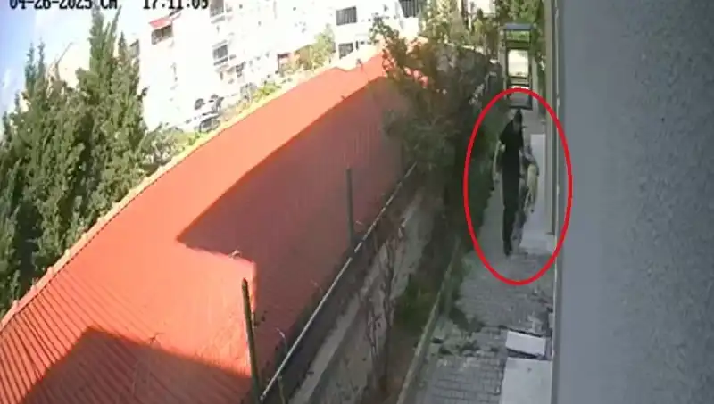 Evdeki Köpekleri Katletti: Hekime Şok Tutuklama