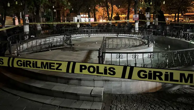 Kırklareli'nde Süs Havuzu Krizi: Dört Kişi Hastanelik Oldu