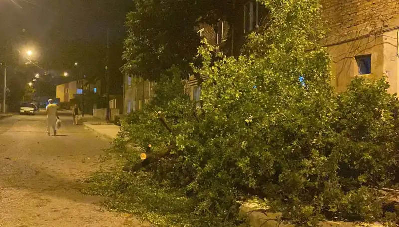 Karabük'te Beklenmedik Fırtına Hayatı Olumsuz Etkiledi
