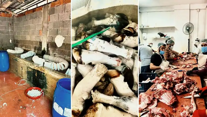Adana'da Uyuşturucu Parası İçin Paça Üretimi! Yüzlerce Kilo Ele Geçirildi