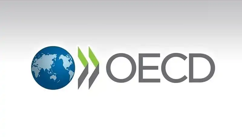 OECD, Türkiye'nin 2023 Büyüme Tahminini Yükseltti: Yeni Beklentiler