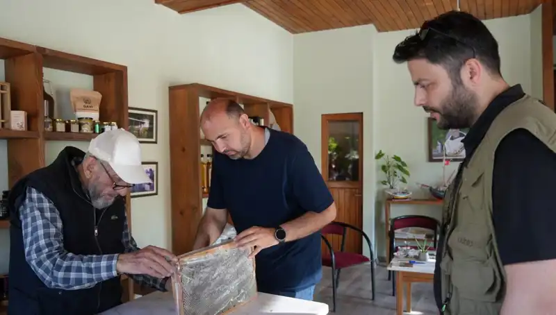 Hem Şifa Hem Zehir: 1 Çay Kaşığıyla Dikkatli Tüketim Gerekiyor
