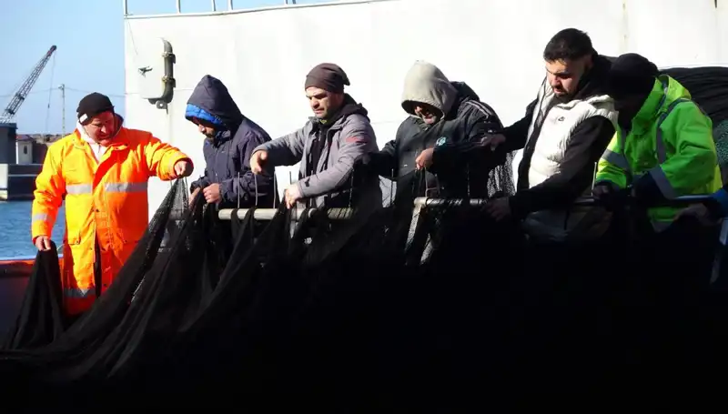 Denizlerde Hamsi Krizi: Balıkçılar Erken Sezon Kapatmak Zorunda Kaldı