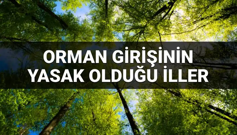 2025’te Ormana Girişi Yasaklanan İller: Hangi Şehirler Etkilenecek?