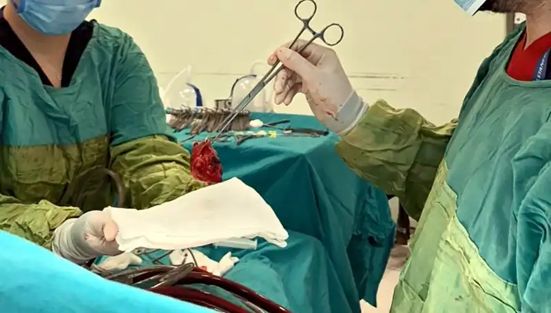 Hayat Kurtaran Ameliyat: 7 Saat Süren Kalp Kapağı Operasyonu Mucize Yarattı