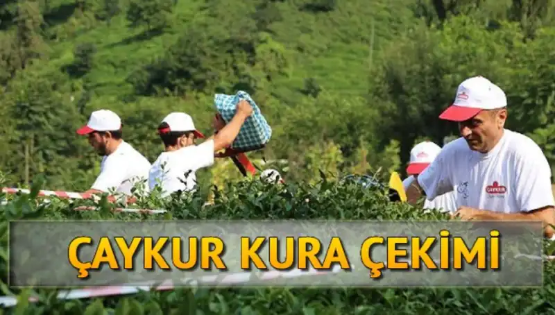 Çaykur Canlı Kura Sayfası: İsimler ve Sonuçlar Nasıl Takip Edilir?