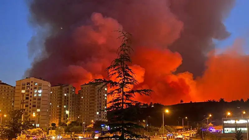 Bursa’da Yangın Alarmı: Şehir Adeta Alev Alev Yandı!