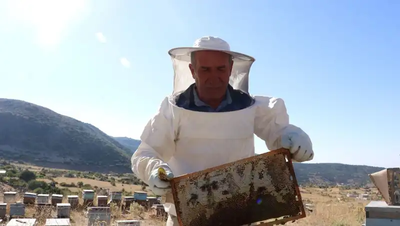 25 Yıl Önce Mobilyayı Bıraktı, Bu Yıl 2 Ton Üretti!
