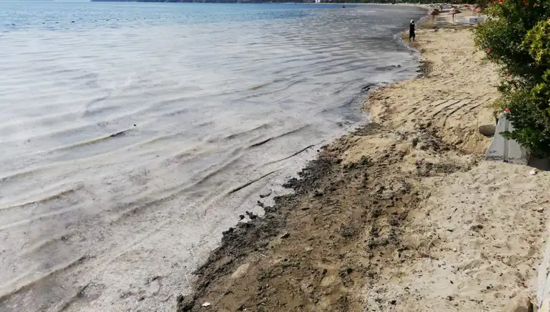 Müsilajla Mücadelede Ağır Darbe: 268 İşletme Faaliyete Ara Verdi