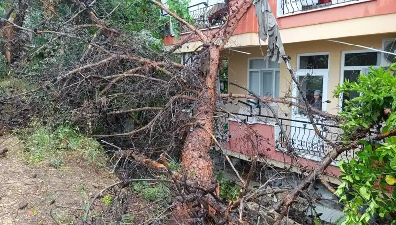 Yağışlar Binayı Sarsıyor: Dev Yıkım Anı Kameralara Yansıdı