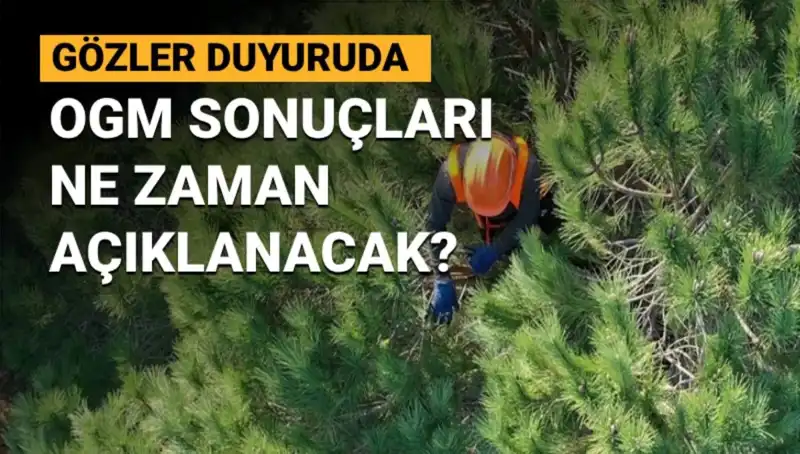 OGM Personel Alımı: 3 Bin 477 Sözleşmeli Personel Sonuçları İçin Geri Sayım Başladı!