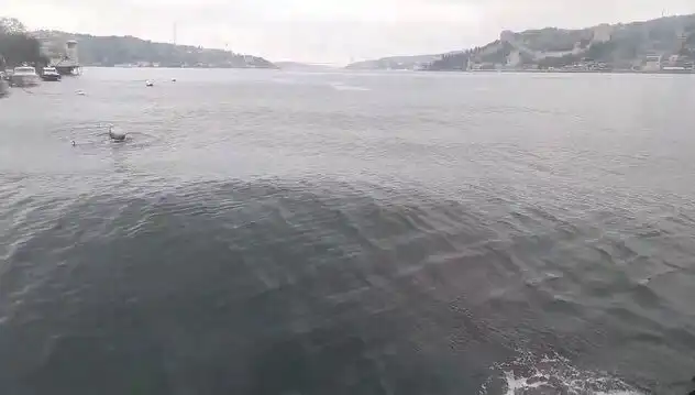 İstanbul Boğazı’nda Dalgalar Yükseliyor: Korkutan Manzaralar ve Nedenleri