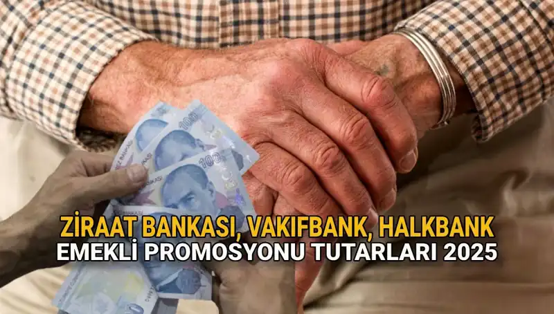 Emeklilere Özel 2025 Banka Promosyonları: Kamu Bankaları Ne Sunuyor?