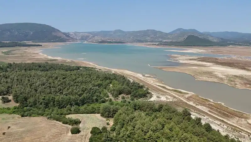 İzmir'de Tehlike Çanları: 2023'te Belirgin Bir Düşüş Görüldü